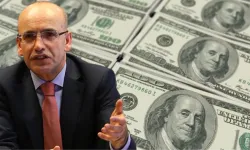 Mehmet Şimşek'ten kritik dolar açıklaması