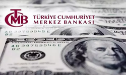 Merkez Bankası rezervleri 136 milyar doları aşarak rekor kırdı