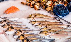 Ege'de balık ihracatı 1 milyar doları aştı
