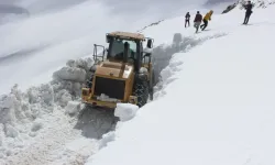 Van'ın bir ilçesinde kar nedeniyle eğitime ara verildi