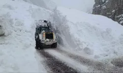 Hakkari'de çığ felaketi!