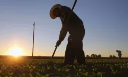 Tarım ve Orman Bakanlığı'na 1500 tarım işçisi alınacak