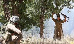 Kuzey Irak'ta PKK'lı 2 terörist Mehmetçik'e teslim oldu
