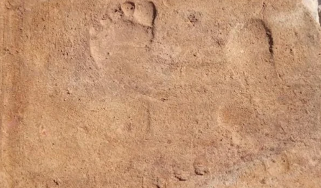 Muğla'da 1900 yıllık çocuk ayak izleri bulundu