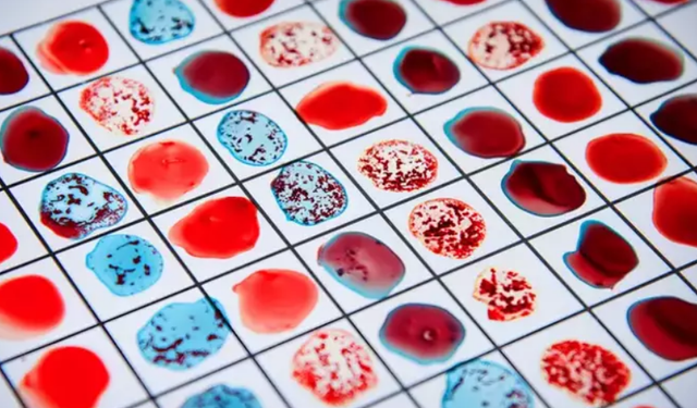 Araştırma: Kan gruplarının karakterimize etkileri