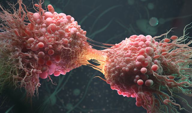 Kanserli Hücrelerin %99'unu yok etmeyi başaran yeni yöntem